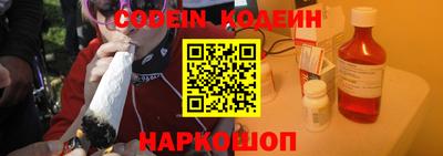 apvp Кунгур